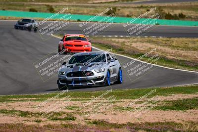 media/Feb-25-2024-Speed Ventures (Sun) [[b9a2a97a4d]]/Mustang Drivers Club/Session 3 (Turn 2)/